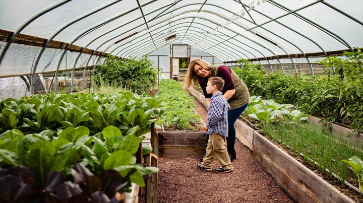 Modern Villa in Agricultural Connection